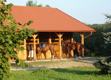 Őrségi lazítás - 4 vagy 3 nap 2 főre reggelivel a Kerca Bio Farmon, Kercaszomoron, hétvégi felár nélkül