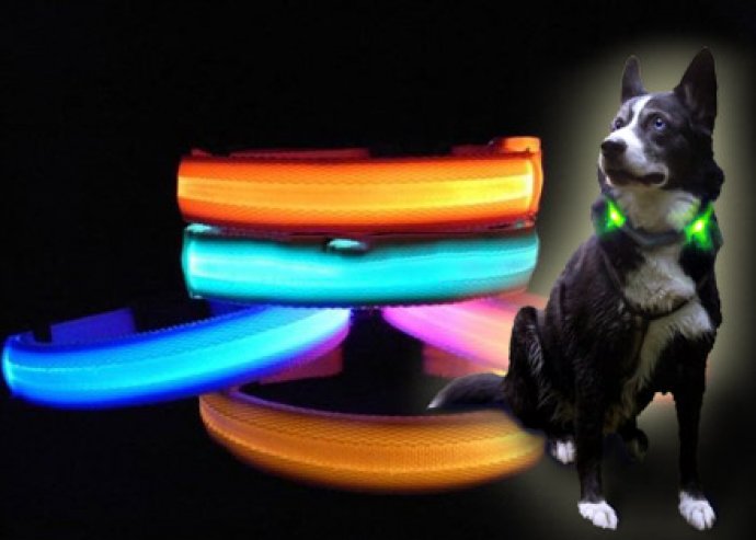 Éjjel is látható világító kutya nyakörv, kutyusod biztonsága érdekében