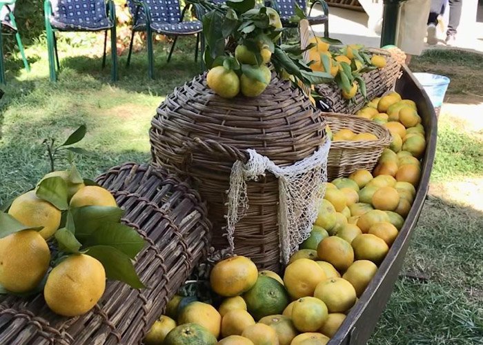 Mandarinszüret a Neretva völgyében és a boszniai piramisok, buszos utazással, reggelivel, 3*-os szállásokkal, idegenvezetéssel
