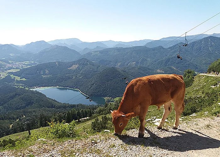 5 napos kirándulás Ausztria zöld szívében, busszal, félpanzióval, 3*-os szállással, idegenvezetéssel