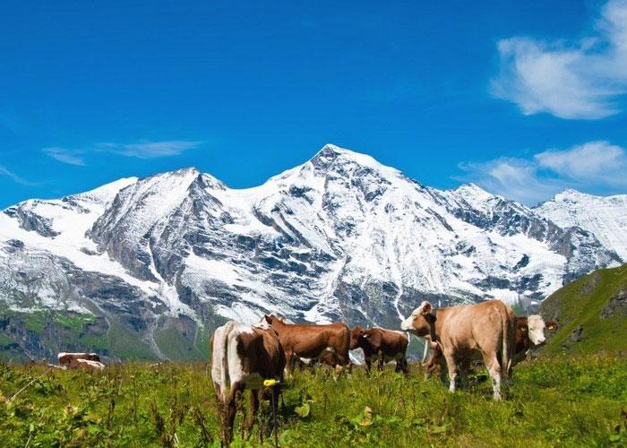 8 napos kirándulás az ausztriai Alpokban, a Salzkammerguti-tóvidéktől a Grossglocknerig, reggelivel,&nbsp;buszos utazással, programokkal, idegenvezetéssel
