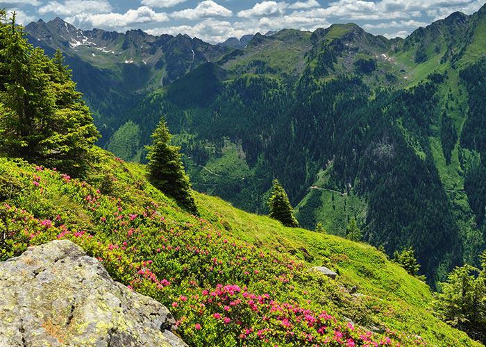 5 napos kirándulás az Alpokban, busszal, 3*-os szállással, reggelivel, idegenvezetéssel
