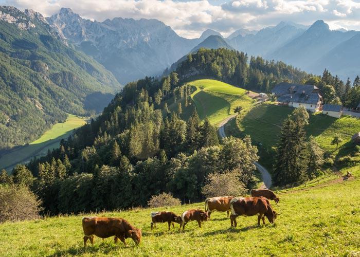 5 napos kaland Szlovénia varázslatos tájain, buszos utazással, reggelivel, idegenvezetéssel
