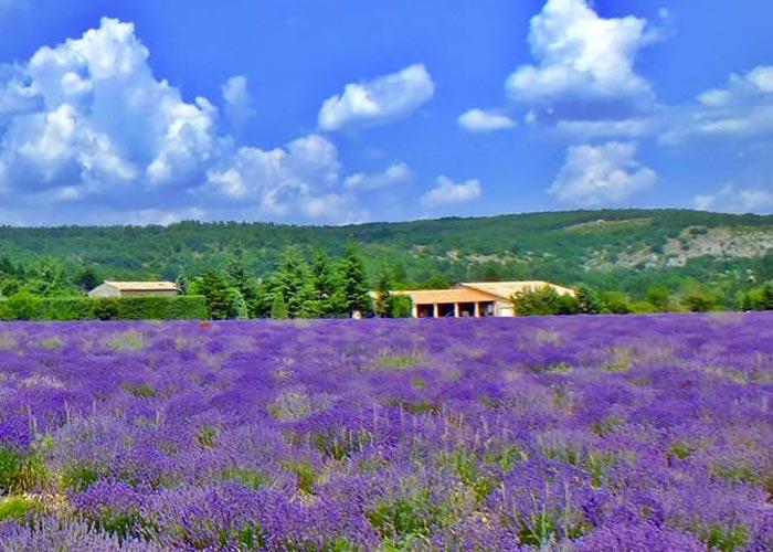 Kirándulás Provence mesés tájain és a Cote d'Azurön, vagyis a francia riviérán, buszos utazással, reggelivel, idegenvezetéssel
