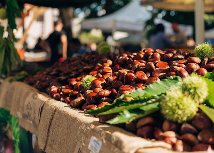 3 napos körutazás az Adriánál a Gesztenye fesztivál idején,busszal, félpanzióval, 3*-os szállással, idegenvezetéssel
