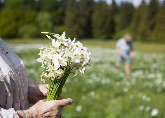 2 napos ausztriai buszos körutazás reggelivel, séta Hallstattban, vizes kalandok a Hellbrunni-kastélyparkban és Nárciszfesztivál Bad Aussee-ben
