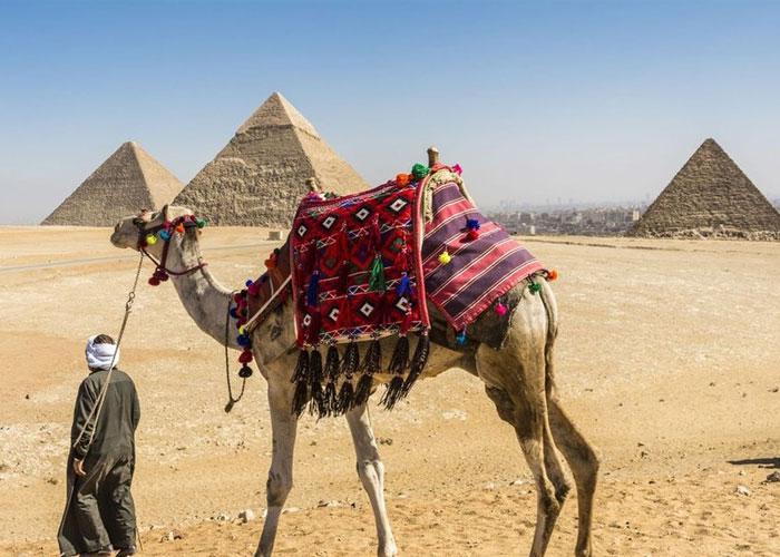 8 napos körutazás Egyiptomban, repülőjeggyel, illetékkel, nílusi hajózással, helyi buszos utazásokkal, félpanzióval, programokkal, belépőkkel, idegenvezetéssel
