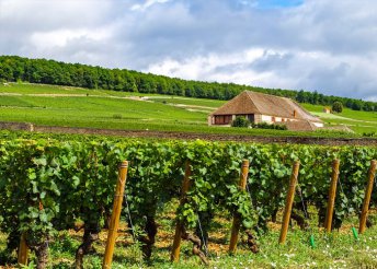 Körutazás a francia föld kincseihez Lotaringia, Champagne és Burgundia érintésével, buszos utazással, reggelivel, 7 éjszaka szállással
