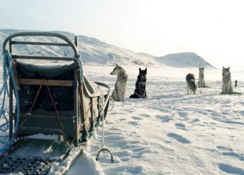 Téli kalandok finn Lappföldön, repülővel, reggelivel, 4*-os szállással
