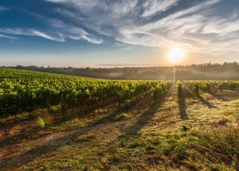 7 napos kirándulás a vidéki Toszkánában, busszal, félpanzióval, 3*-os szállással, idegenvezetéssel
