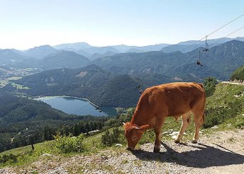 5 napos kirándulás Ausztria zöld szívében, busszal, félpanzióval, 3*-os szállással, idegenvezetéssel
