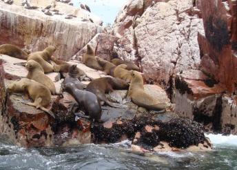 Az ősi inka civilizáció nyomában Peruban és Bolíviában, 17 nap/15&nbsp;éjszaka&nbsp;félpanzióval, repülőjeggyel, illetékkel, rengeteg programmal és kalanddal
