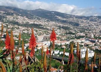 8 nap Madeirán, az örök tavasz szigetén, repülőjeggyel, illetékkel, 4*-os szállással, reggelivel, 2 ebéddel, programokkal, belépőkkel, idegenvezetéssel
