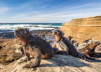 Körutazás&nbsp;Kolumbiában, Ecuadorban és Galapagoson, 3 és 4 csillagos szállodákban, magyar idegenvezetéssel
