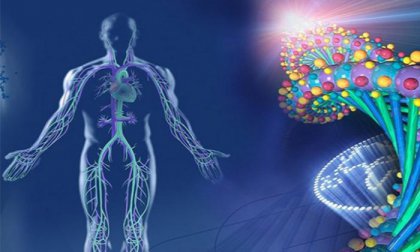 Vitamin- és ásványianyag-vizsgálat, felszívódási képesség, sav-lúg egyensúly, nehézfém-telítettség felmérés