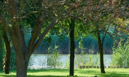 3, 4 vagy 5 napos nyaralás a természetközeli Hercegasszony Birtokon, Mezőtúron, reggelivel, wellness használattal