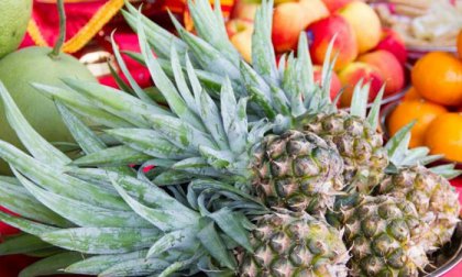 8 napos körutazás az Azori-szigeteken, repülőjeggyel, illetékkel, reggelivel, 3 ebéddel, 4*-os szállással