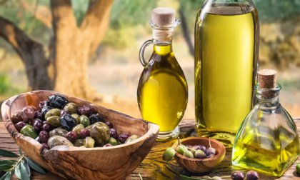 3 napos kirándulás Krk-szigeten az olívaszüret idején, busszal, félpanzióval, 3*-os szállással