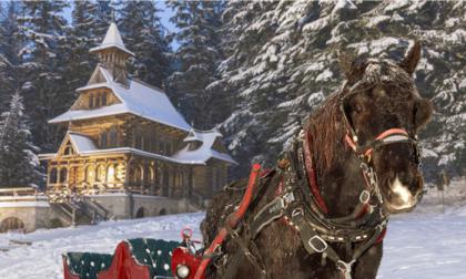 2 napos adventi csoda Zakopanéban, busszal, reggelivel, 3*-os szállással, idegenvezetéssel